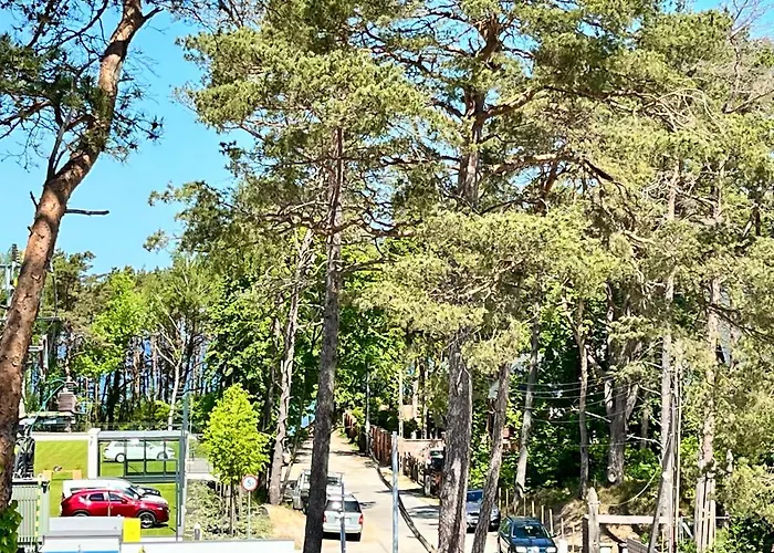 Wojtecki Проживание в семье Поберово