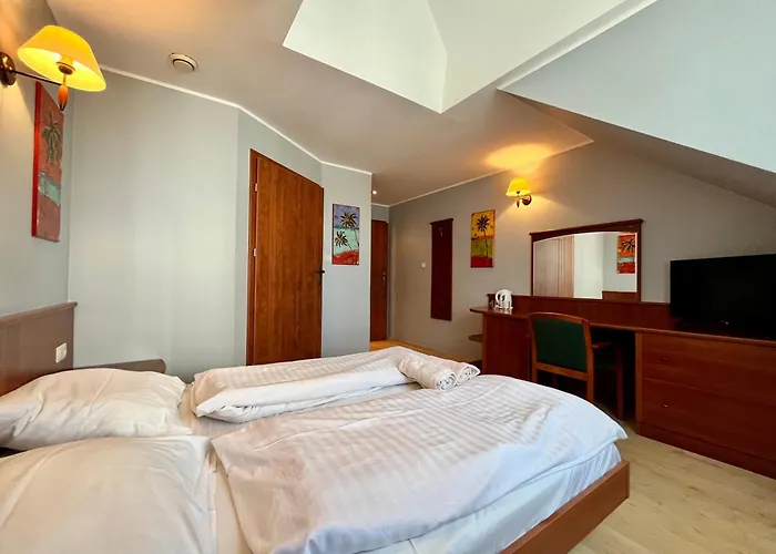 Wojtecki Проживание в семье