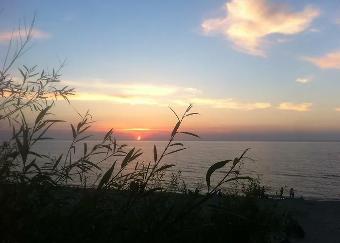 Проживание в семье Wojtecki *