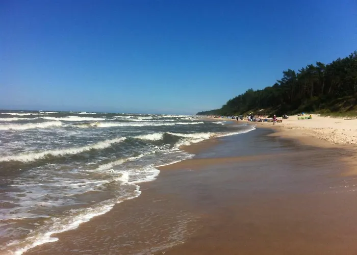 Проживание в семье Wojtecki